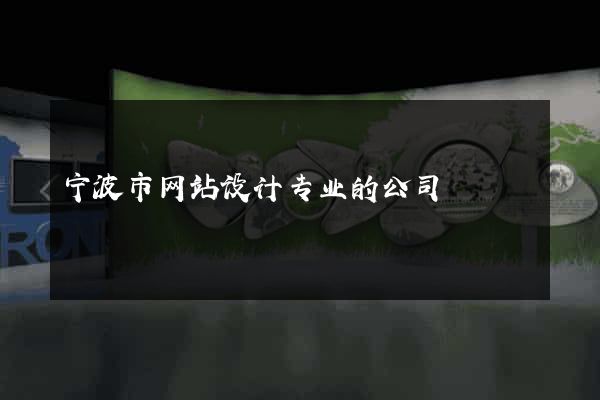 宁波市网站设计专业的公司