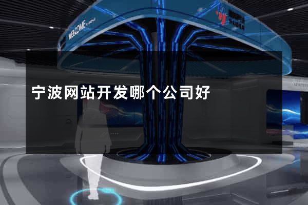 宁波网站开发哪个公司好