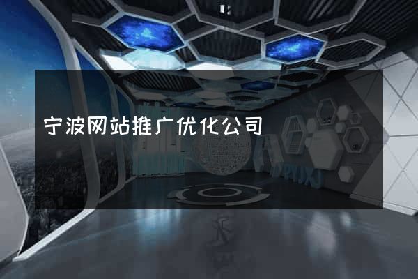 宁波网站推广优化公司