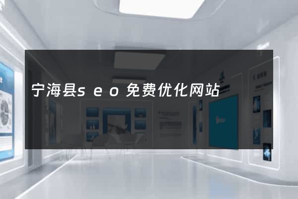 宁海县seo免费优化网站