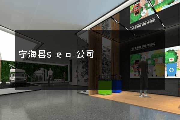 宁海县seo公司