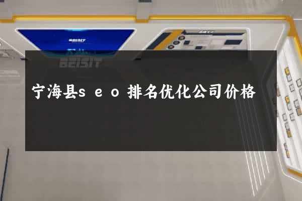 宁海县seo排名优化公司价格