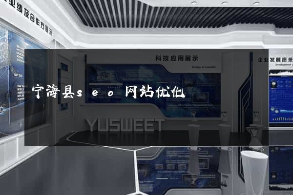 宁海县seo网站优化