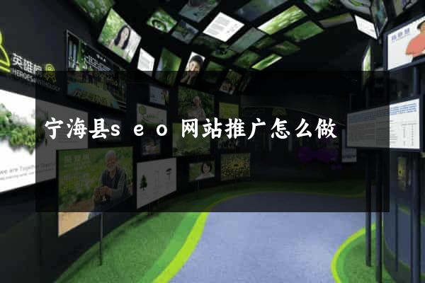 宁海县seo网站推广怎么做