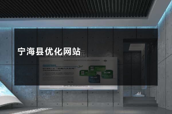 宁海县优化网站