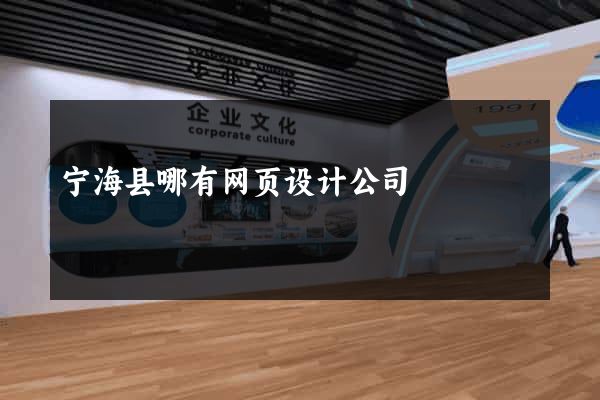宁海县哪有网页设计公司