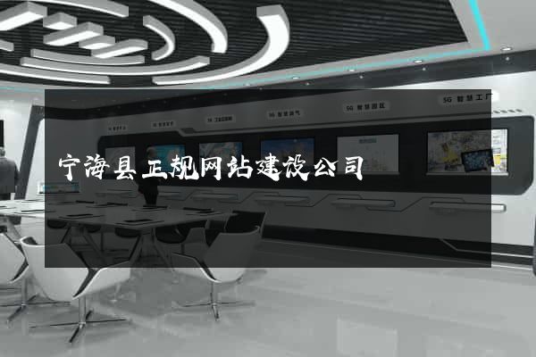 宁海县正规网站建设公司