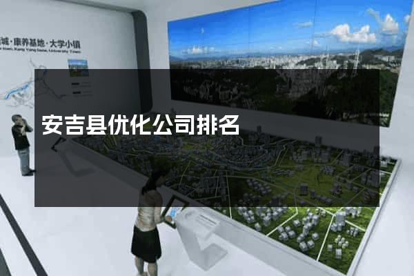 安吉县优化公司排名