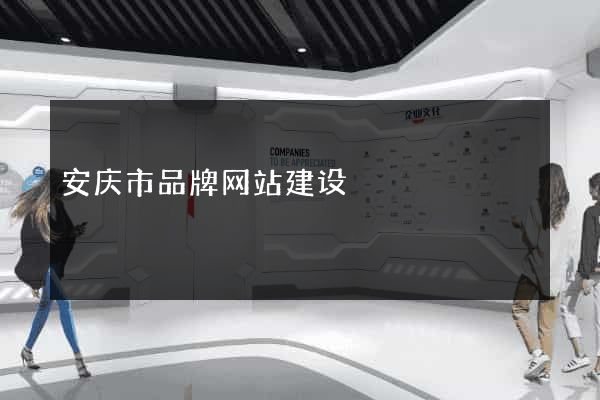 安庆市品牌网站建设