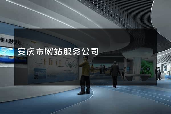 安庆市网站服务公司