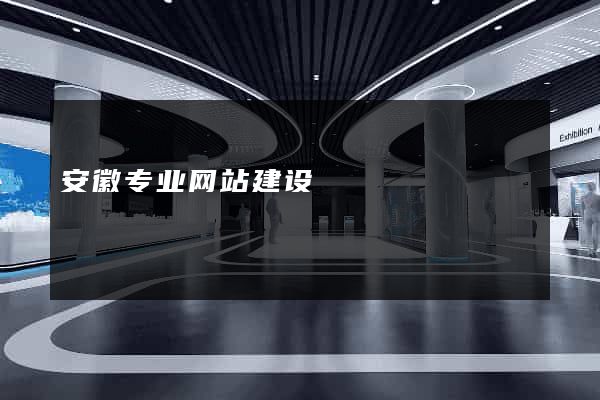 安徽专业网站建设