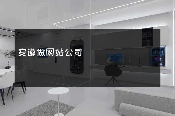 安徽做网站公司