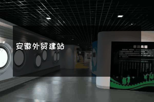 安徽外贸建站
