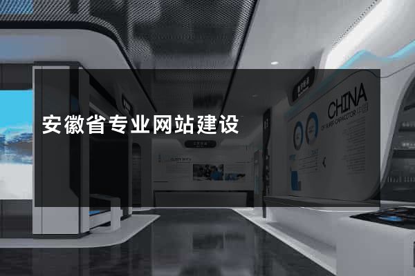 安徽省专业网站建设