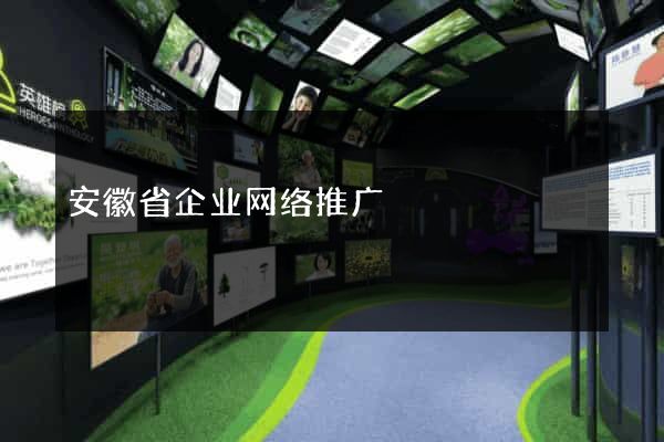 安徽省企业网络推广