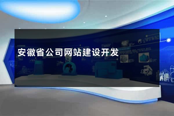 安徽省公司网站建设开发