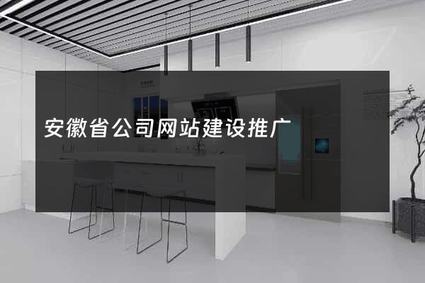 安徽省公司网站建设推广