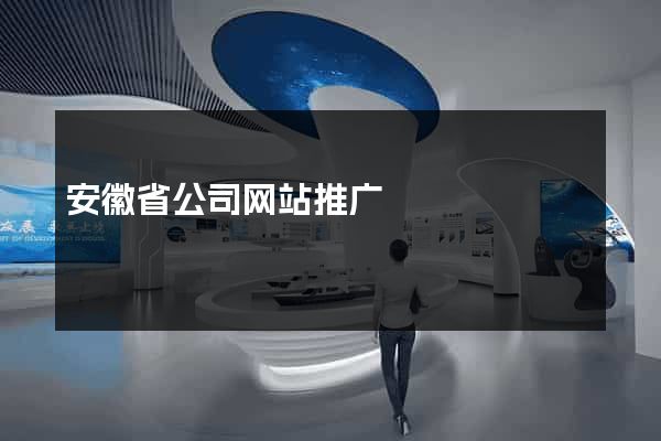安徽省公司网站推广