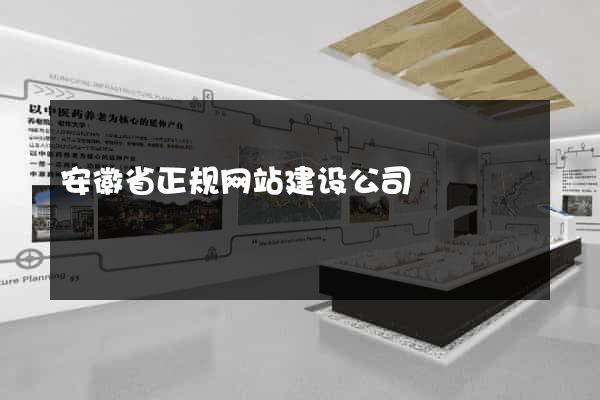 安徽省正规网站建设公司