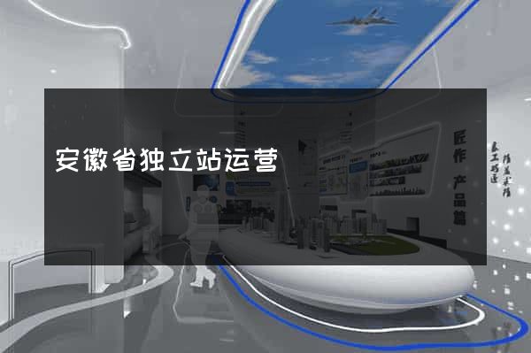 安徽省独立站运营