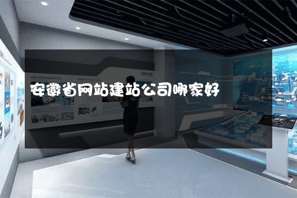 安徽省网站建站公司哪家好