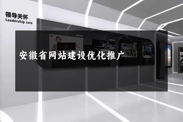 安徽省网站建设优化推广