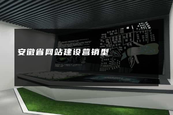 安徽省网站建设营销型