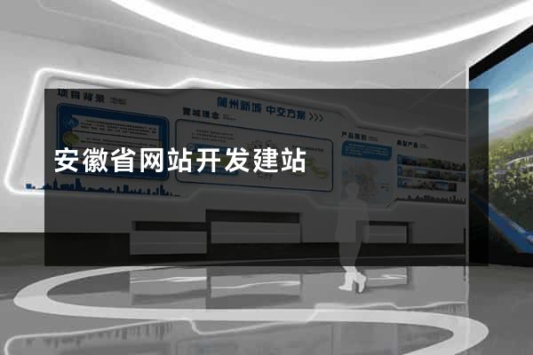 安徽省网站开发建站