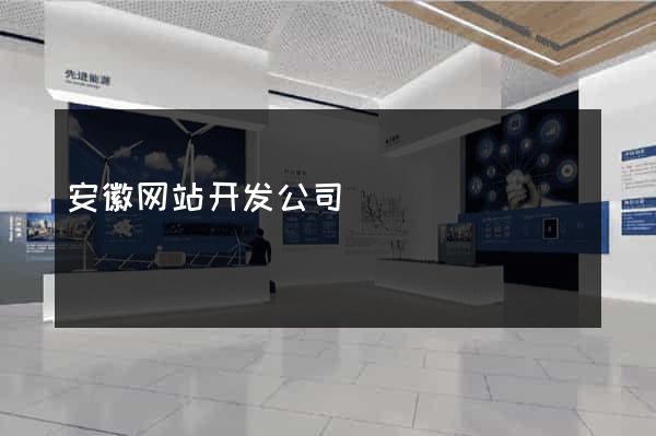 安徽网站开发公司