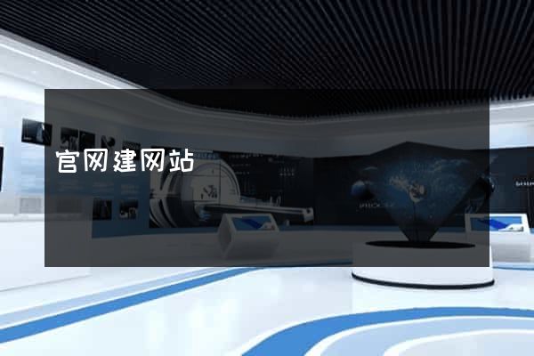 官网建网站
