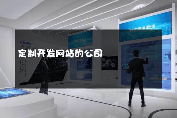 定制开发网站的公司