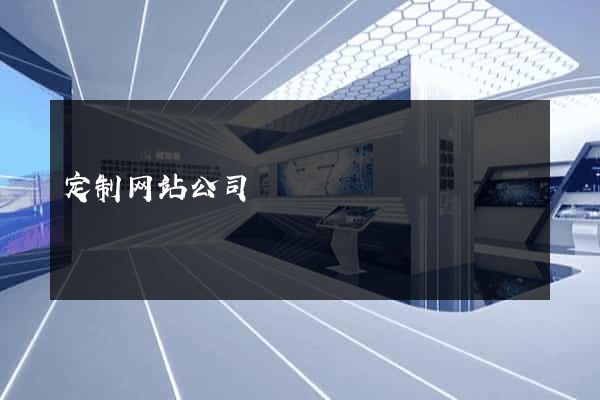 定制网站公司