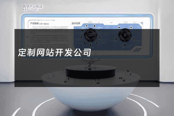 定制网站开发公司