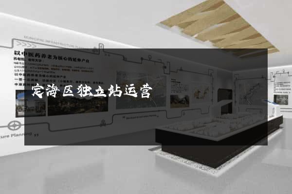 定海区独立站运营