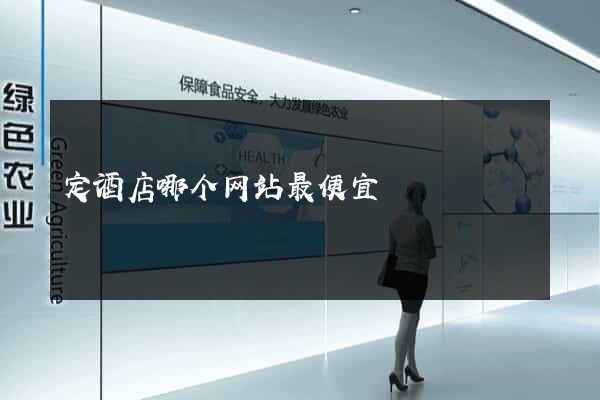 定酒店哪个网站最便宜