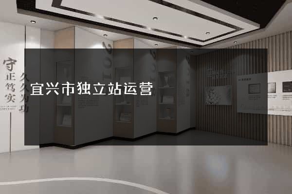 宜兴市独立站运营