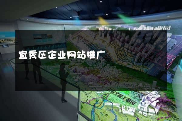 宜秀区企业网站推广