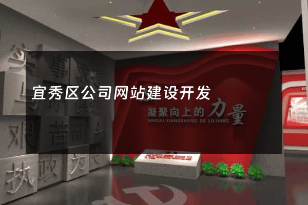 宜秀区公司网站建设开发