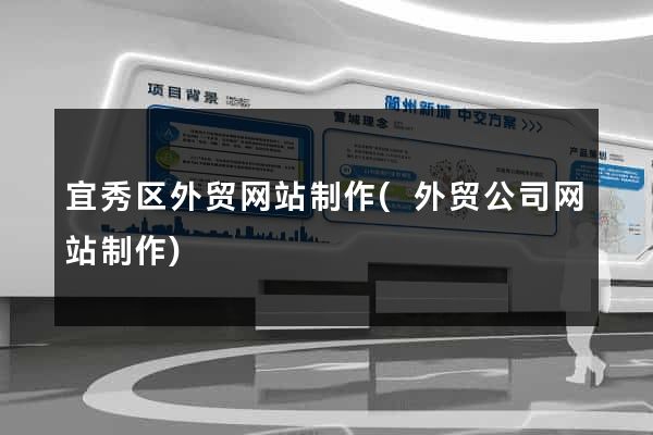 宜秀区外贸网站制作(外贸公司网站制作)