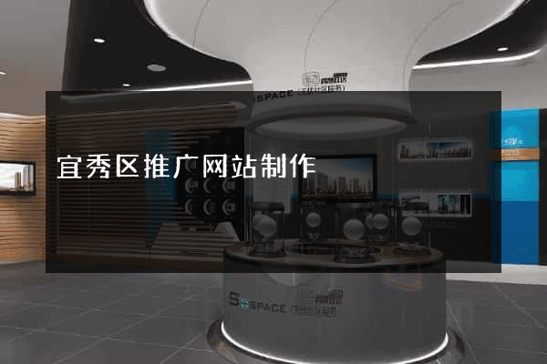 宜秀区推广网站制作