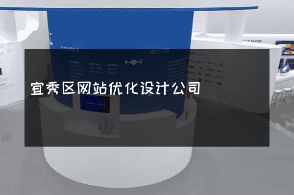 宜秀区网站优化设计公司