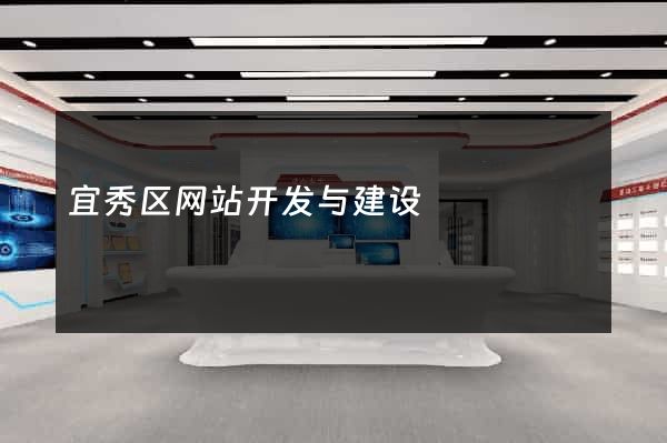 宜秀区网站开发与建设
