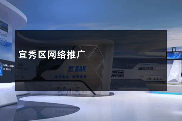 宜秀区网络推广