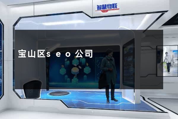 宝山区seo公司