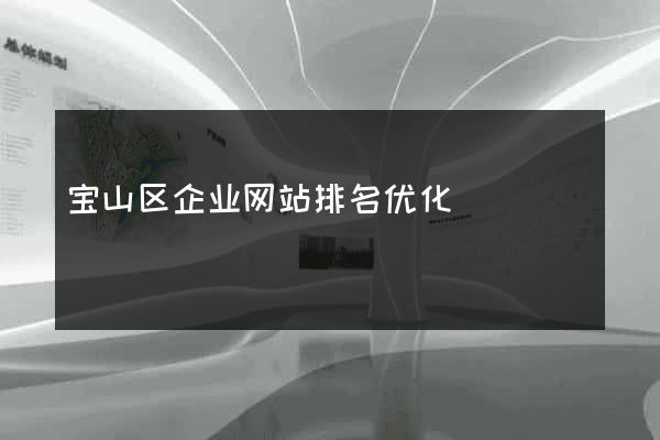 宝山区企业网站排名优化