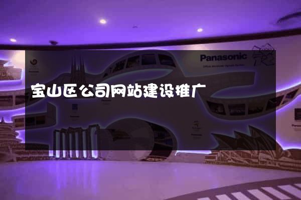 宝山区公司网站建设推广