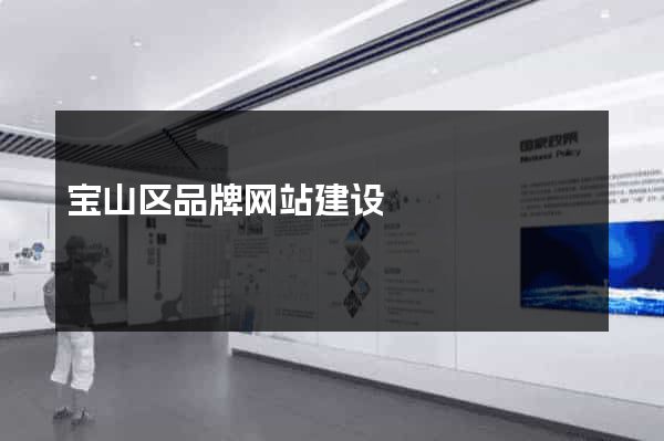 宝山区品牌网站建设