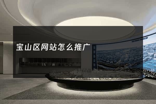 宝山区网站怎么推广