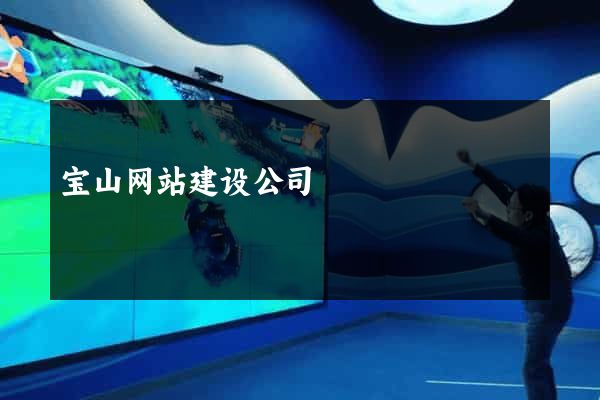 宝山网站建设公司