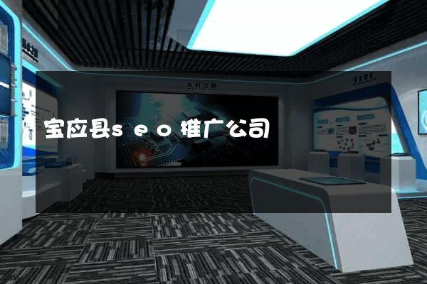 宝应县seo推广公司